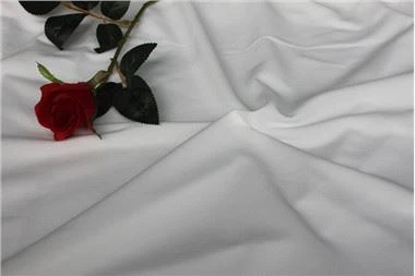 Knit Backing Fabric